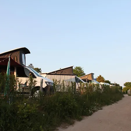 Marilyn - Glamping Im Mercedes Düdo Auf Seeblick Campingplatz